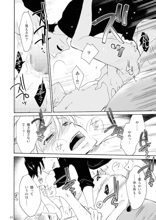 WOLF'S CAT Macaron: [+10] | DLsite がるまに