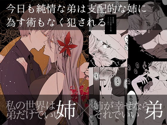 今日も純情な弟は支配的な姉に為す術もなく犯●れる Re:(一宙二星) - FANZA同人