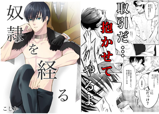 奴隷を経る3 [Cozika] | DLsite がるまに