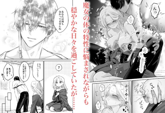 転生魔女はその眷属の欲望を知らない [れじゃんのレジャー] | DLsite がるまに