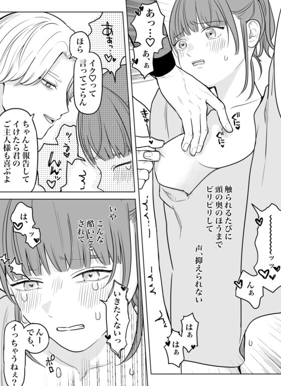 愛玩用奴隷教育センターFile 01 [見習いさん] | DLsite がるまに