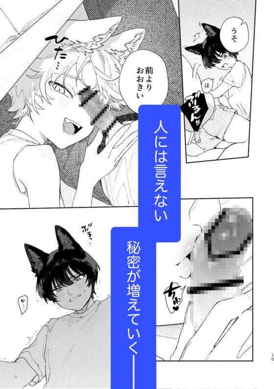♂が受け。コヨーテちゃん×甲斐犬くん [pink carrot] | DLsite がるまに
