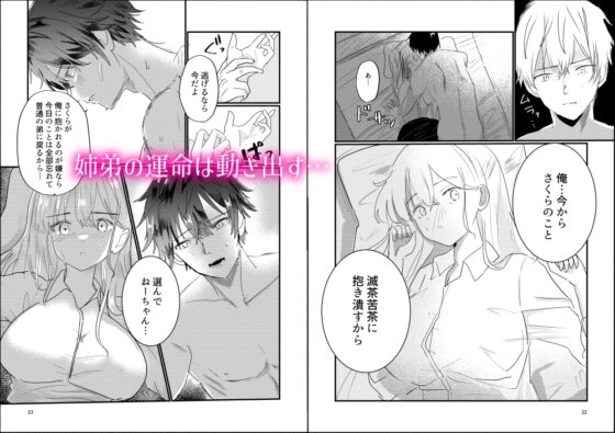 姉じゃなきゃ××しない⁉～一途な弟に求められて流されエッチ⁉～ [爆乳元年] | DLsite がるまに