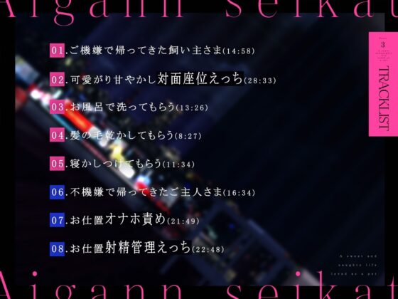 愛玩セイカツ。【7日間限定特典トラック付】 [つばめいと] | DLsite 同人 - R18