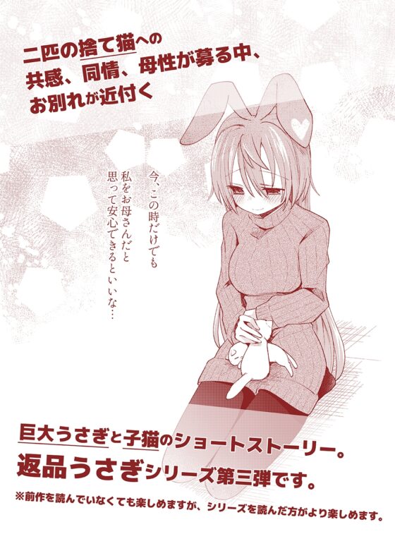 返品うさぎ3-私、お母さんになります!?- [とこのま] | DLsite 同人