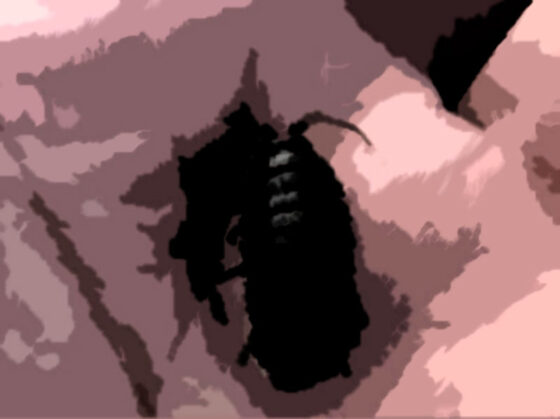 私の蟲姦遊び 20 話 妊娠中に5匹のワラジムシ編(シングルママの日常) - FANZA同人