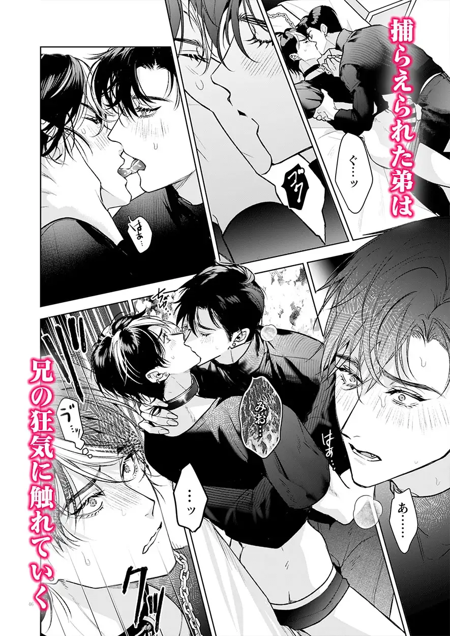 完全なる一族 楽園の箱<1> [おやすみ毛布] | DLsite がるまに