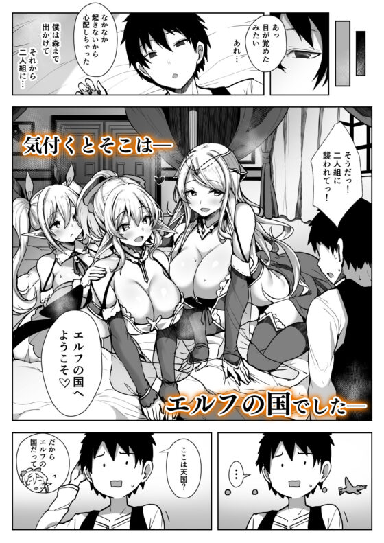 エルフハーレム(diletta) - FANZA同人