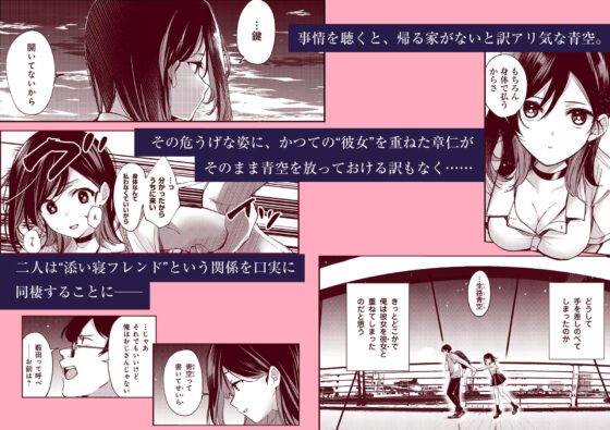 青空は夜に咲く(巣ごもりバード) - FANZA同人