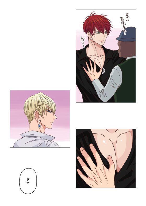 ヤンデレ王子（兄）が、純情バカな俺様王子（弟）を 夜●いしたようです。(星谷京) - FANZA同人