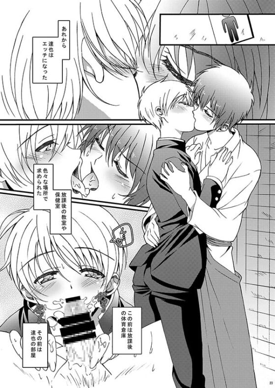 HOPE [InkStone] | DLsite がるまに