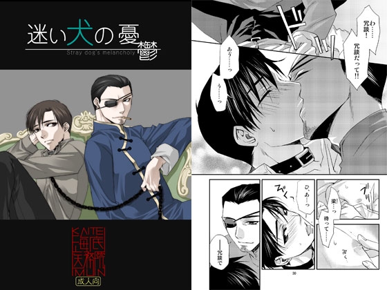 香港黒道 迷い犬の憂鬱 [海底医務院] | DLsite がるまに