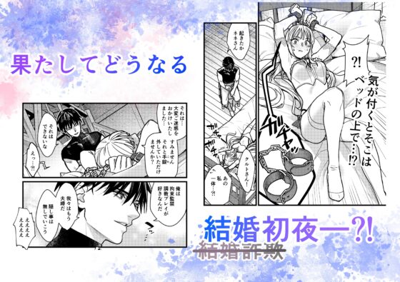 結婚詐欺が成功したのか失敗したのか判定お願いいたします [桃色アザラシ] | DLsite がるまに