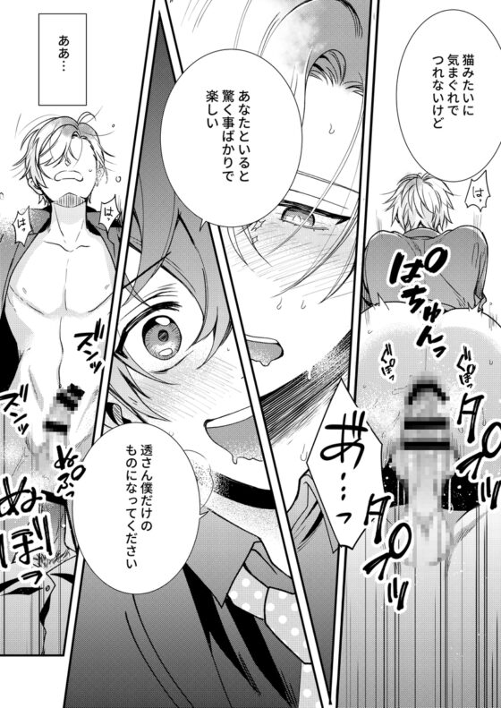 発情ネコの再録集 [米式'] | DLsite がるまに