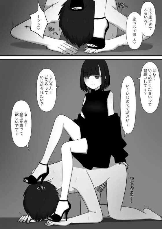 寵愛 [顔印象零] | DLsite 同人 - R18