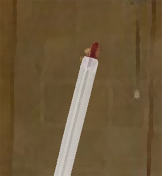 私の蟲姦遊び 19話 妊娠中に2匹のゴキブリの幼虫編(シングルママの日常) - FANZA同人