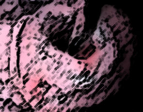 私の蟲姦遊び 20 話 妊娠中に5匹のワラジムシ編(シングルママの日常) - FANZA同人