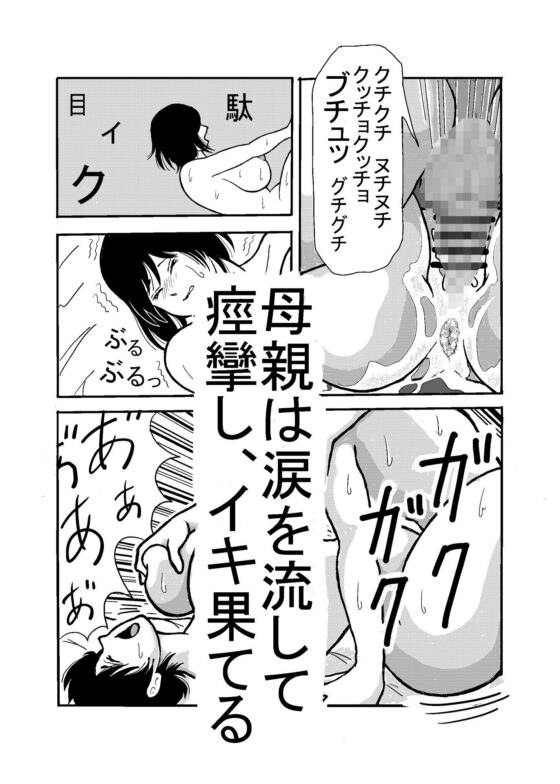 息子と二人きりで暮らすことになりました―初めての膣内射精―(棒人間) - FANZA同人