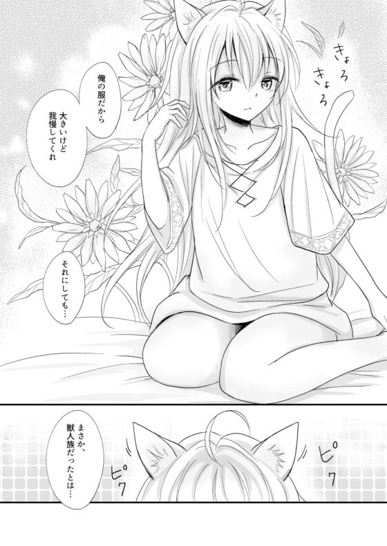 発情～子猫を拾った騎士の話～ [Liry Rain] | DLsite がるまに