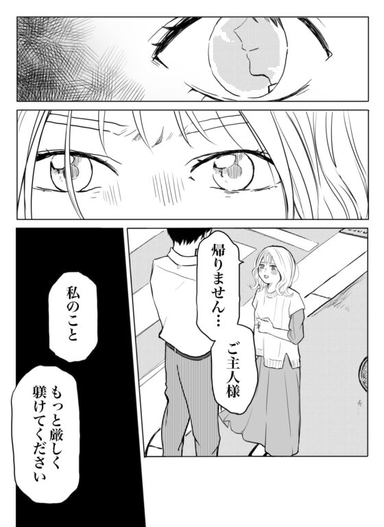 私のやさしいご主人様 [見習いさん] | DLsite がるまに