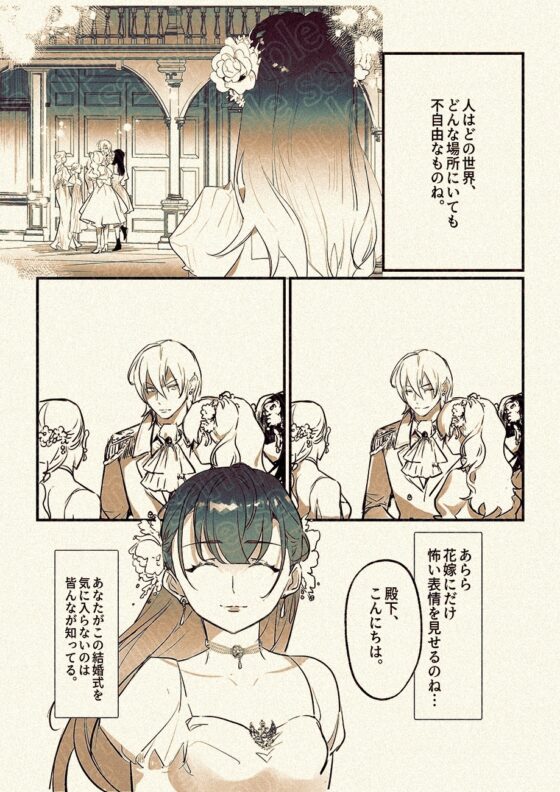 Porker Face〜異世界の王太子との政略結婚。でも離婚したい〜【前編】 [滿月葡萄] | DLsite がるまに