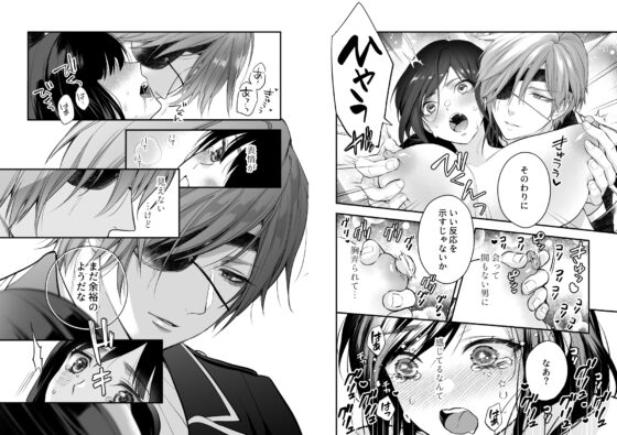 クロスプリンス ギルフォート編 [フェンガーリア] | DLsite がるまに