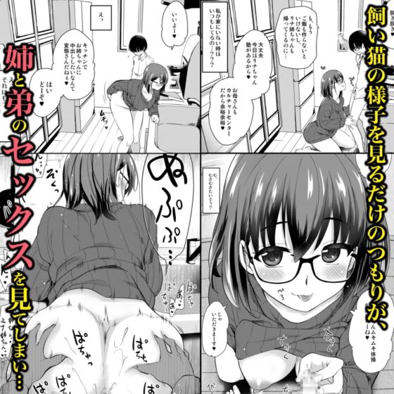 ペット見守りカメラに姉と弟のセックスが映っていた。 [真・聖堂☆本舗] | DLsite 同人 - R18