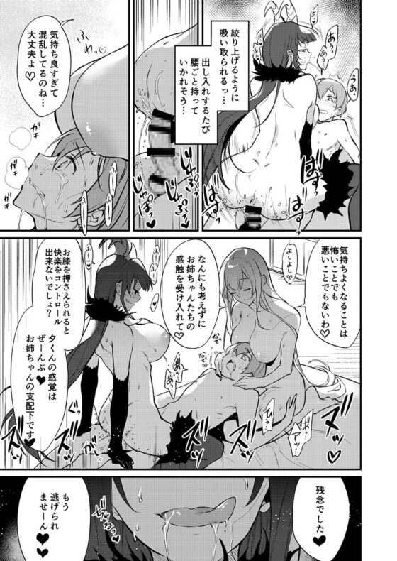 姉なるもの11 [ぽち小屋。] | DLsite 同人 - R18