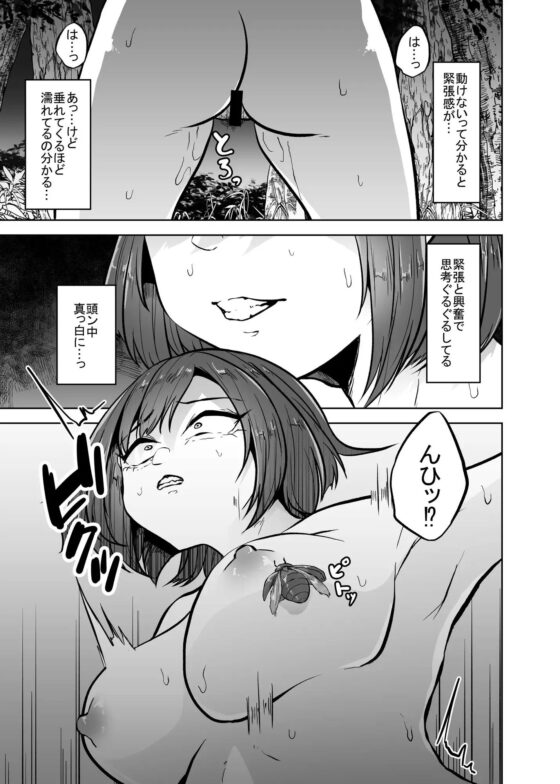 暑蟲見舞い [てるてるがーる] | DLsite 同人 - R18