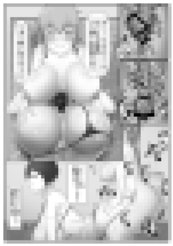 ふたお嬢様の朝立ちを無表情メイドが性処理する漫画 [白土海] | DLsite 同人 - R18