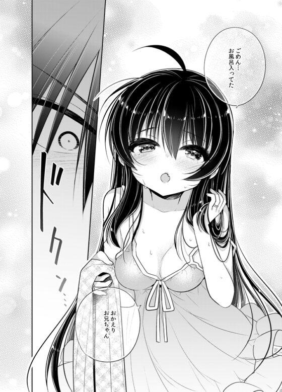 シスコン兄とブラコン妹が夫婦になったら幸せ過ぎて爆発しそう [keepON] | DLsite 同人 - R18