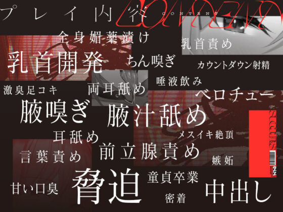 低音ボイスの汗だくサキュバスによる乳首責めと前立腺責め(ユーフォリアファクトリー) - FANZA同人