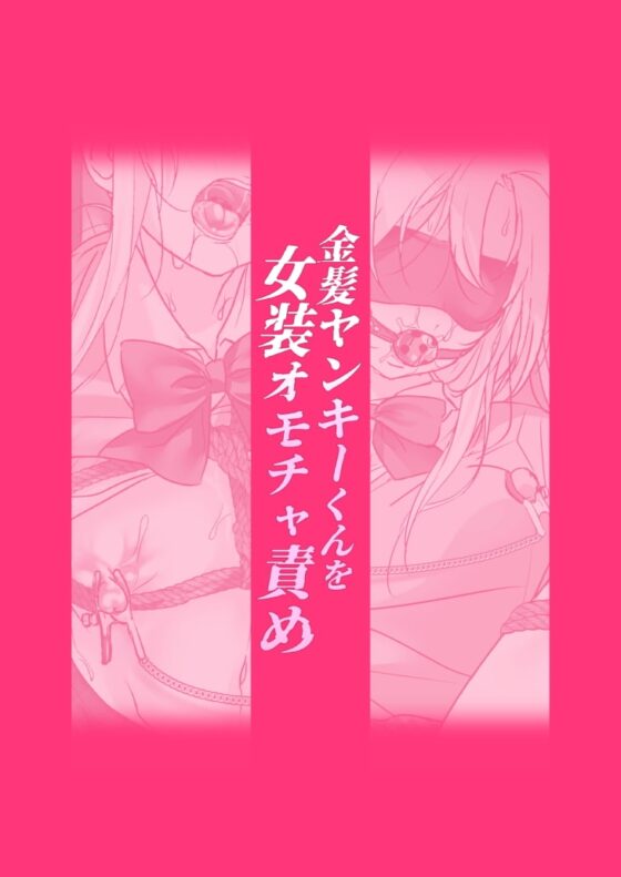 金髪ヤンキーくんを女装オモチャ責め [ここで乳首をひとつまみ] | DLsite がるまに