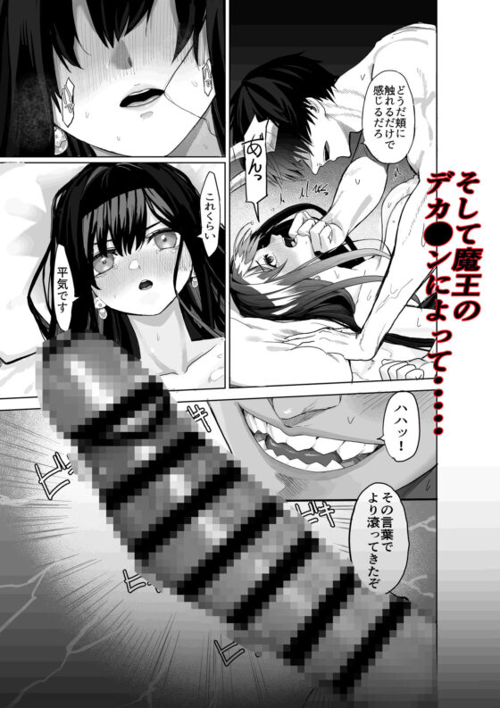 姫セフィアが壊れるまで(gss) - FANZA同人