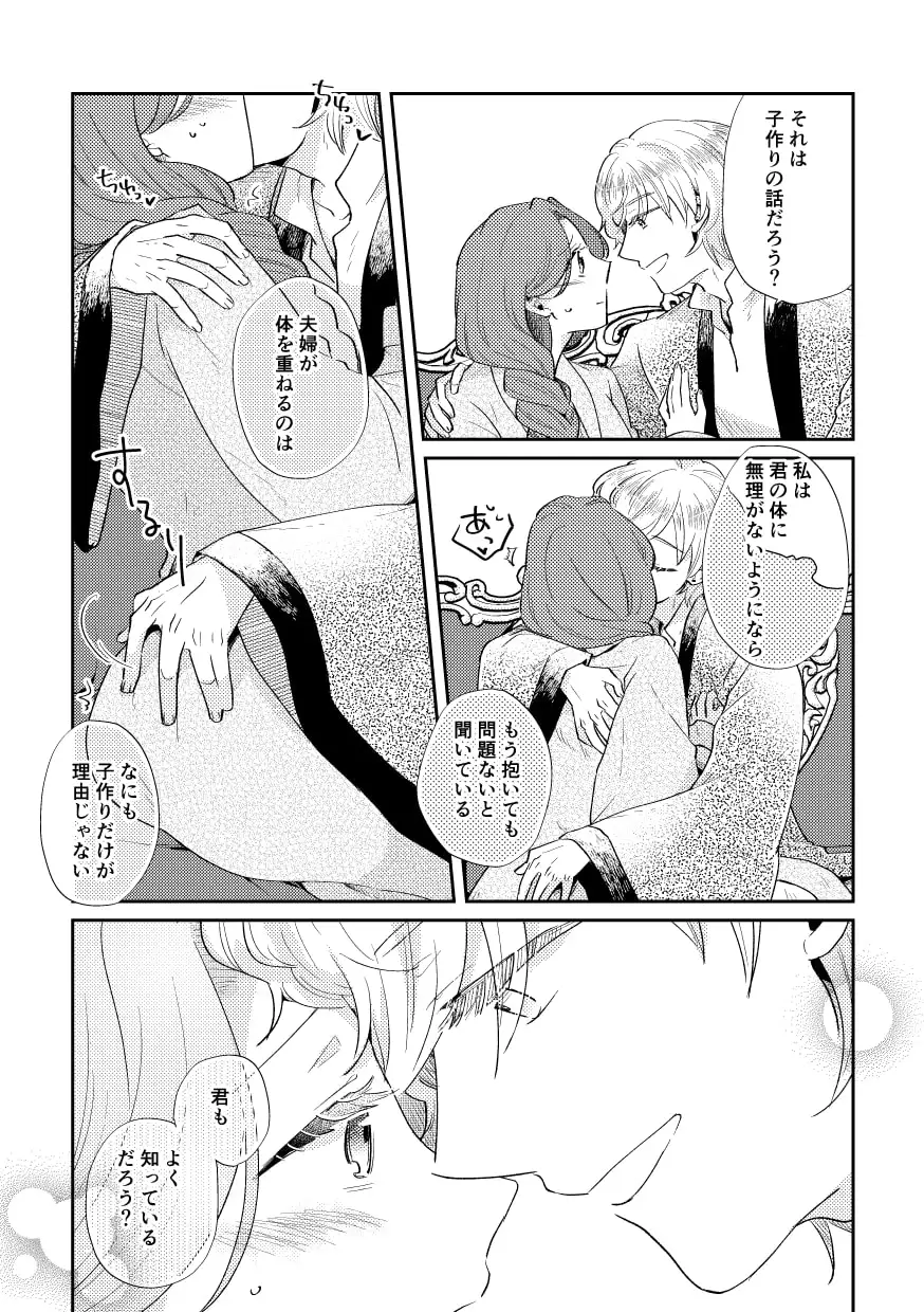 少年王と年上王妃 EverAfter [グズノロ。]