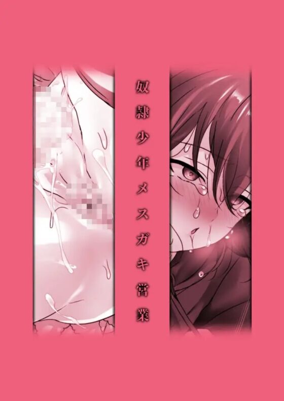 奴隷少年メスガキ営業 [ここで乳首をひとつまみ] | DLsite がるまに
