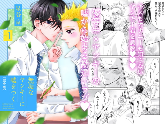 無垢なヤンキーに嘘をつく 完全版 VOL.1 [星谷京] | DLsite がるまに