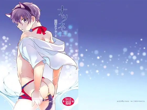 ナツネコ 淫猫カフェ・5 [+10] | DLsite がるまに