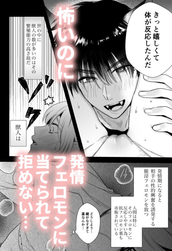 オオカミくんの執着愛から逃げられない!～幼馴染の獣人と発情交尾～ [レゥル] | DLsite がるまに