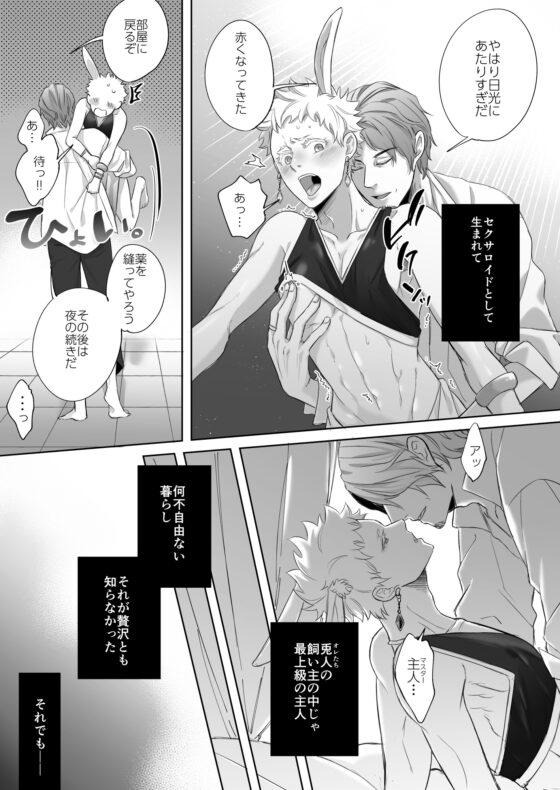 落し物は発情うさぎ [YellowPost] | DLsite がるまに