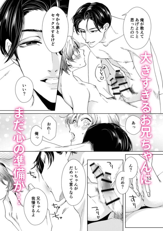 お兄ちゃんと両思い 毎日したい甘ラブ兄弟セックス お留守番初夜 兄×弟編 [WildGoat] | DLsite がるまに