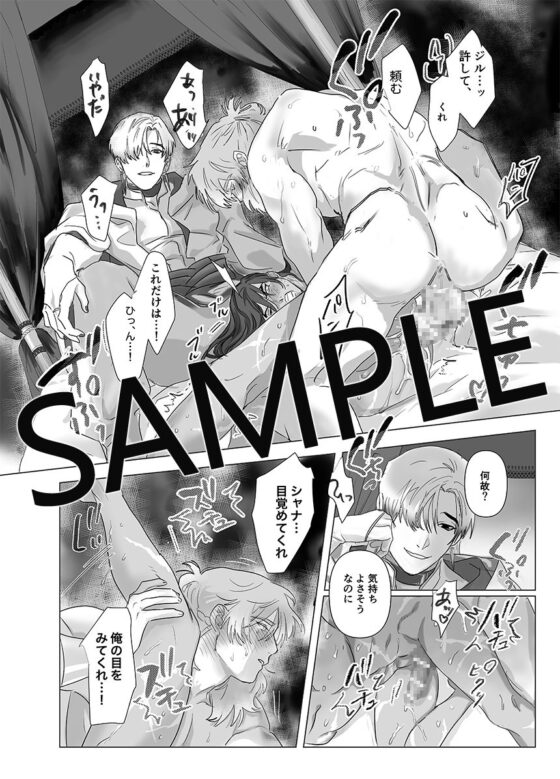 第二皇子 奴隷堕ちII [パコズ] | DLsite がるまに