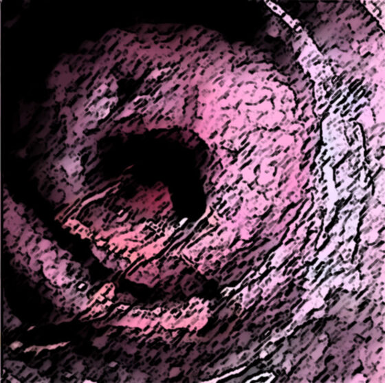 私の蟲姦遊び 20 話 妊娠中に5匹のワラジムシ編(シングルママの日常) - FANZA同人