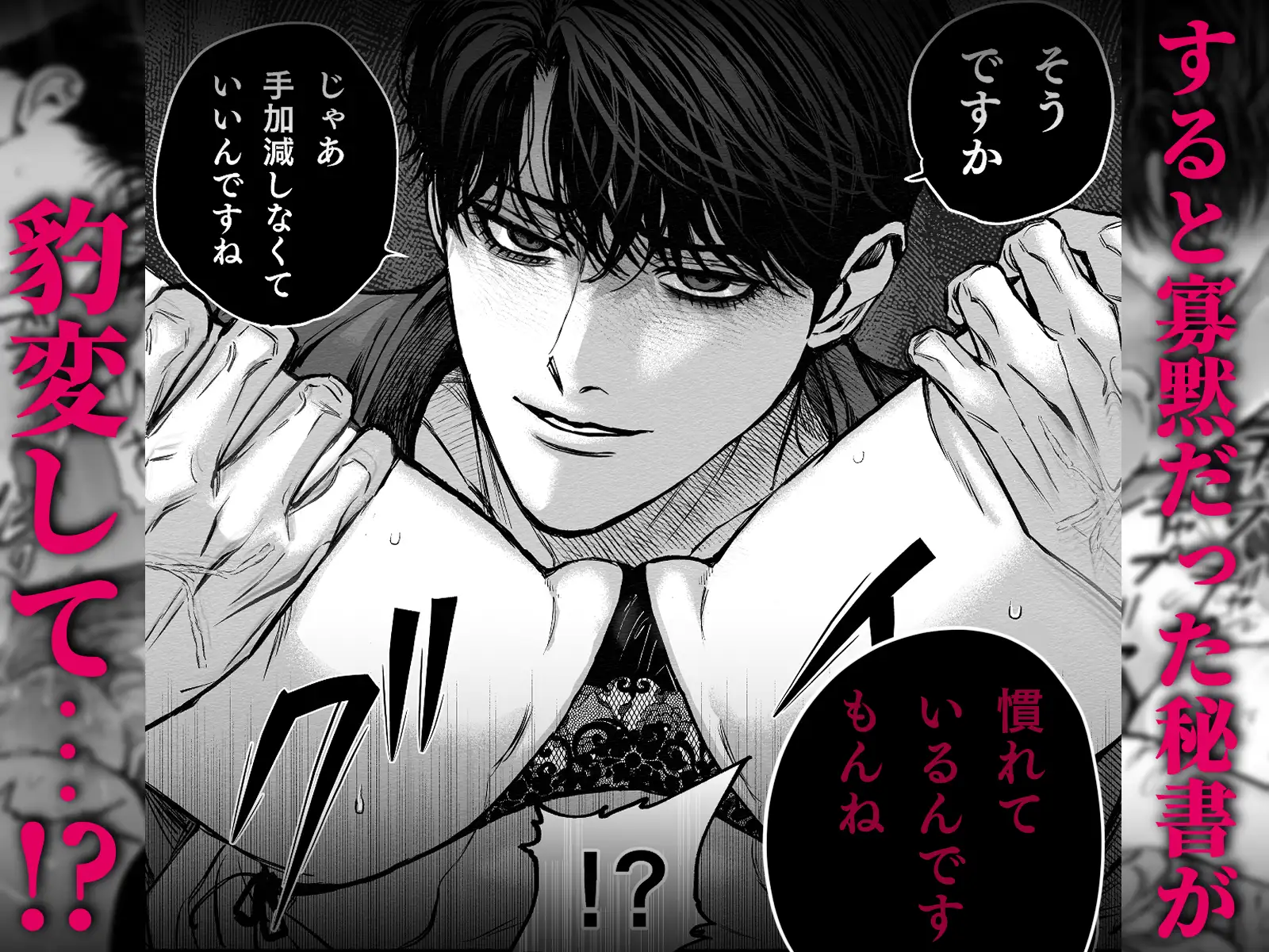 寡黙秘書君に毎晩抱かれています [叶恵] | DLsite がるまに