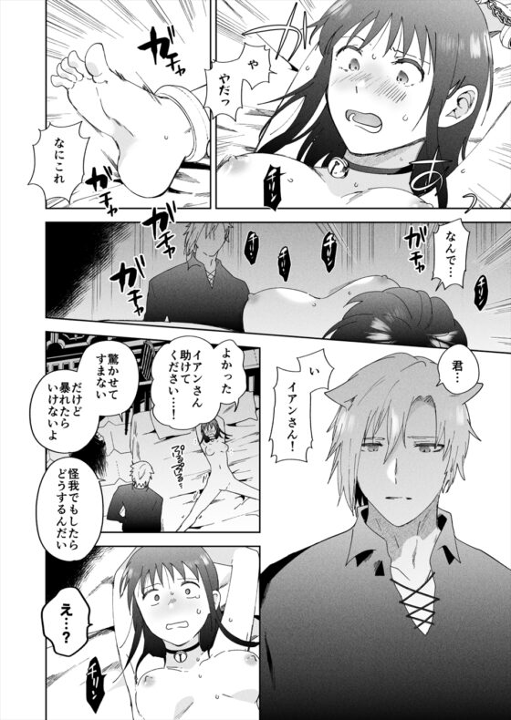 再召喚された元聖女は護衛騎士に囚われる3 [OTIBA] | DLsite がるまに