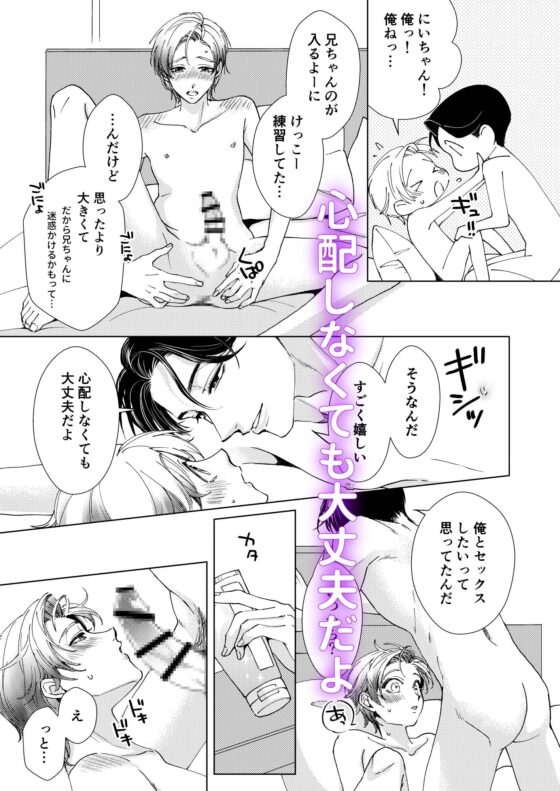 お兄ちゃんと両思い 毎日したい甘ラブ兄弟セックス お留守番初夜 兄×弟編 [WildGoat] | DLsite がるまに