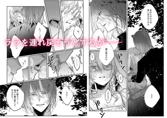 脱兎は狼の愛を知る [綺羅綺羅の日] | DLsite がるまに