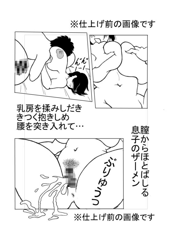 息子と二人きりで暮らすことになりました2―母子の休日（土）―(棒人間) - FANZA同人