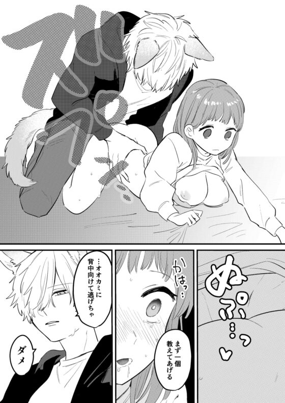 コイビトがオオカミでナニが悪い! [塩焼き祭り] | DLsite がるまに