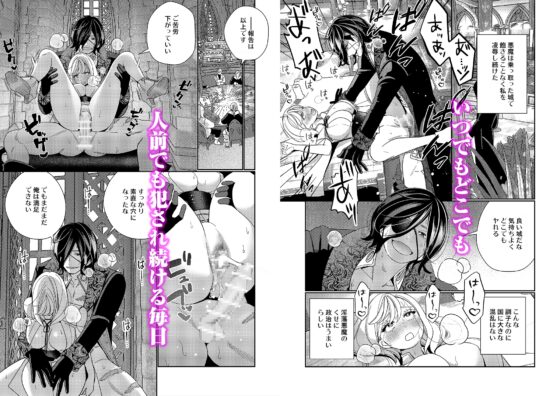 聖女は敵国の王に堕とされる [葉脈] | DLsite がるまに